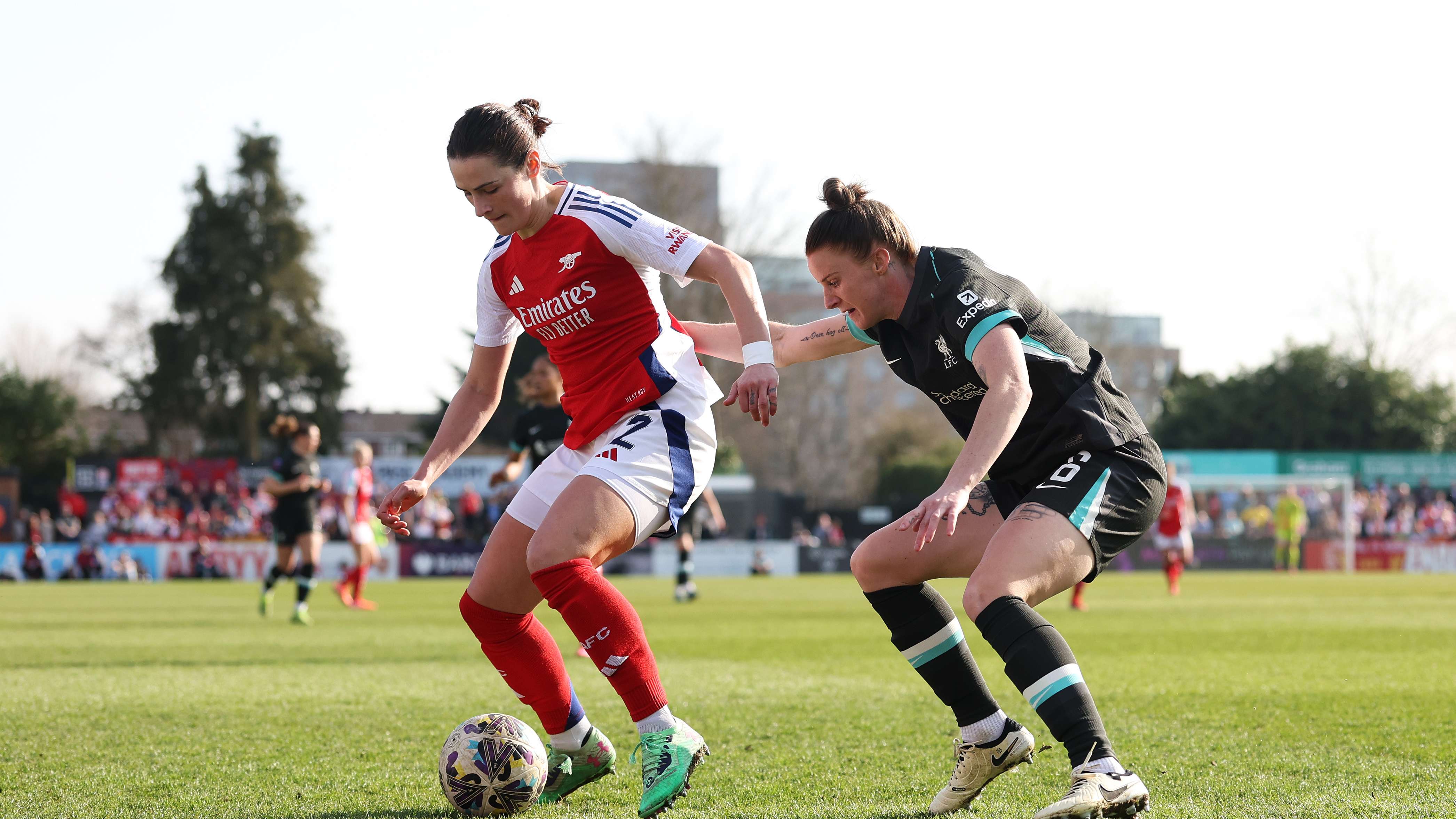 迷和媒体的 迷和媒体的